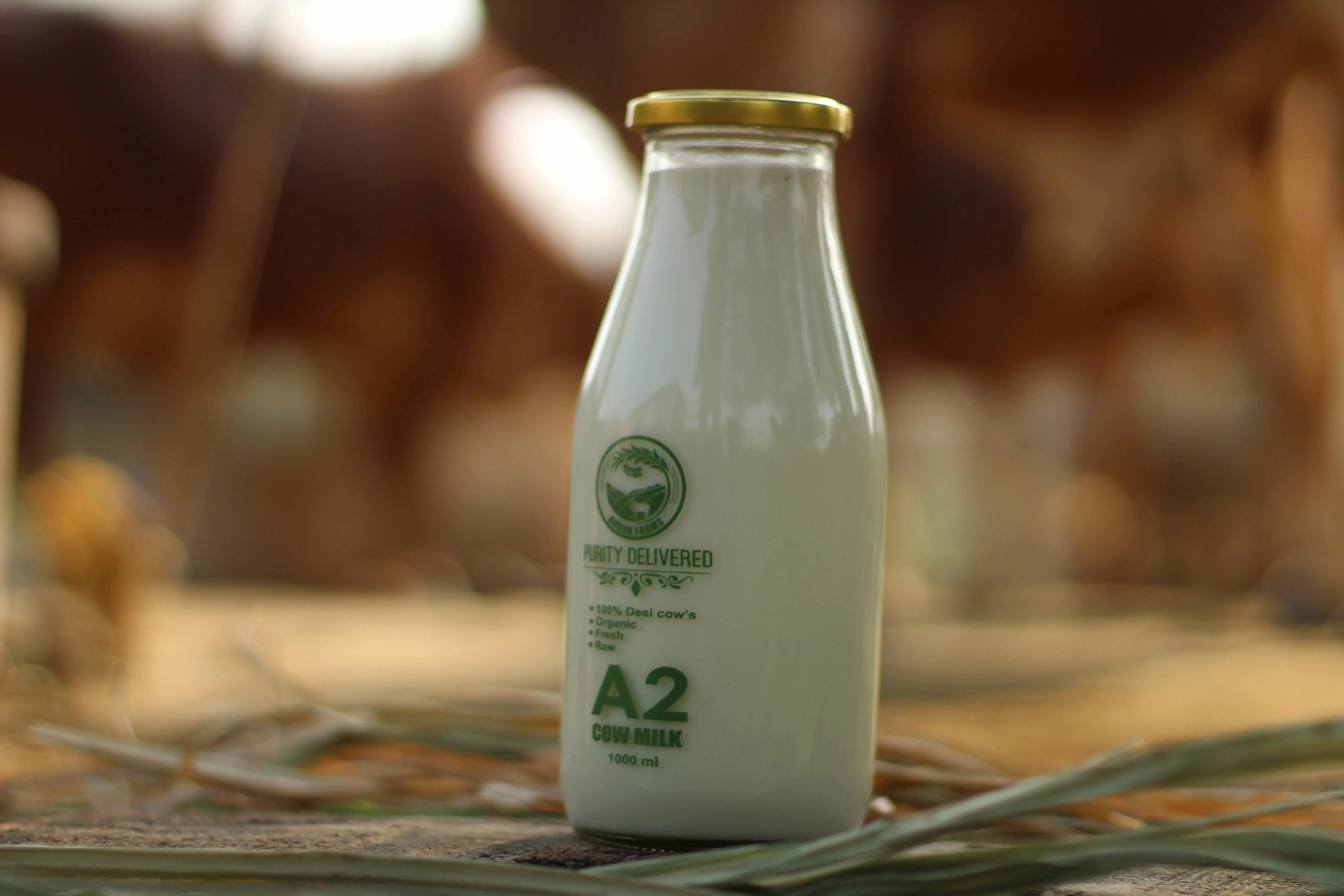 A2 milk in glass bottle