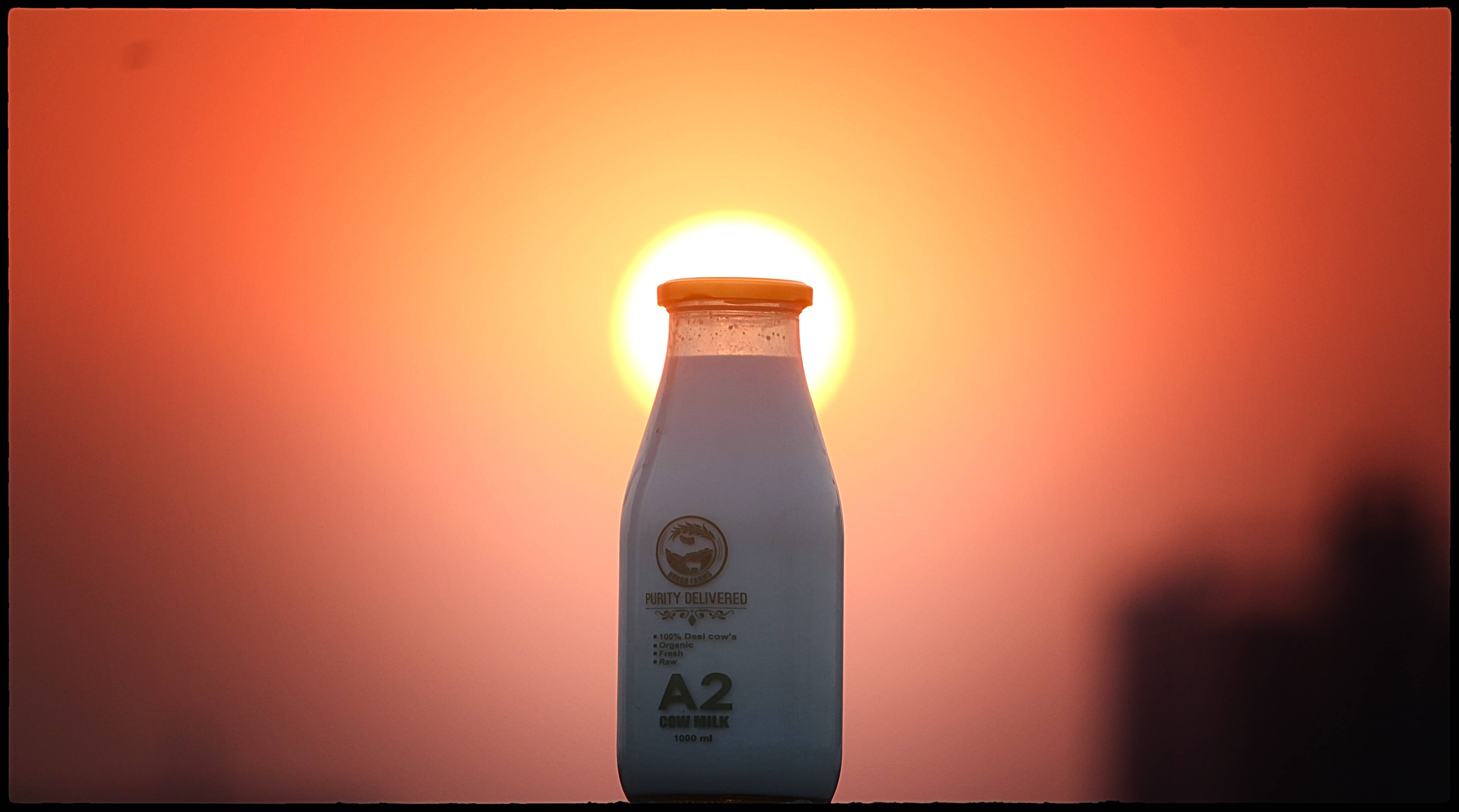 A2 Fresh and pure Cow Milk Supplier in pune 